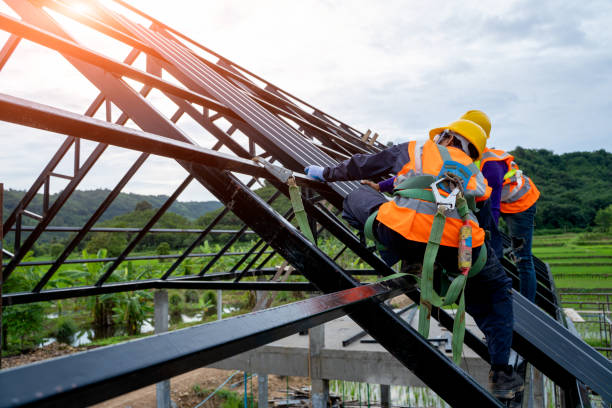 Best Metal Roofing Contractor  in Holualoa, HI