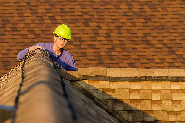 Best Roof Leak Repair  in Holualoa, HI