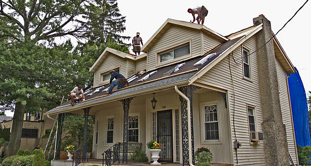 Best Roof Waterproofing Services  in Holualoa, HI