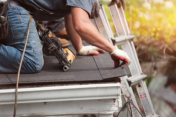 Best Roof Gutter Cleaning  in Holualoa, HI